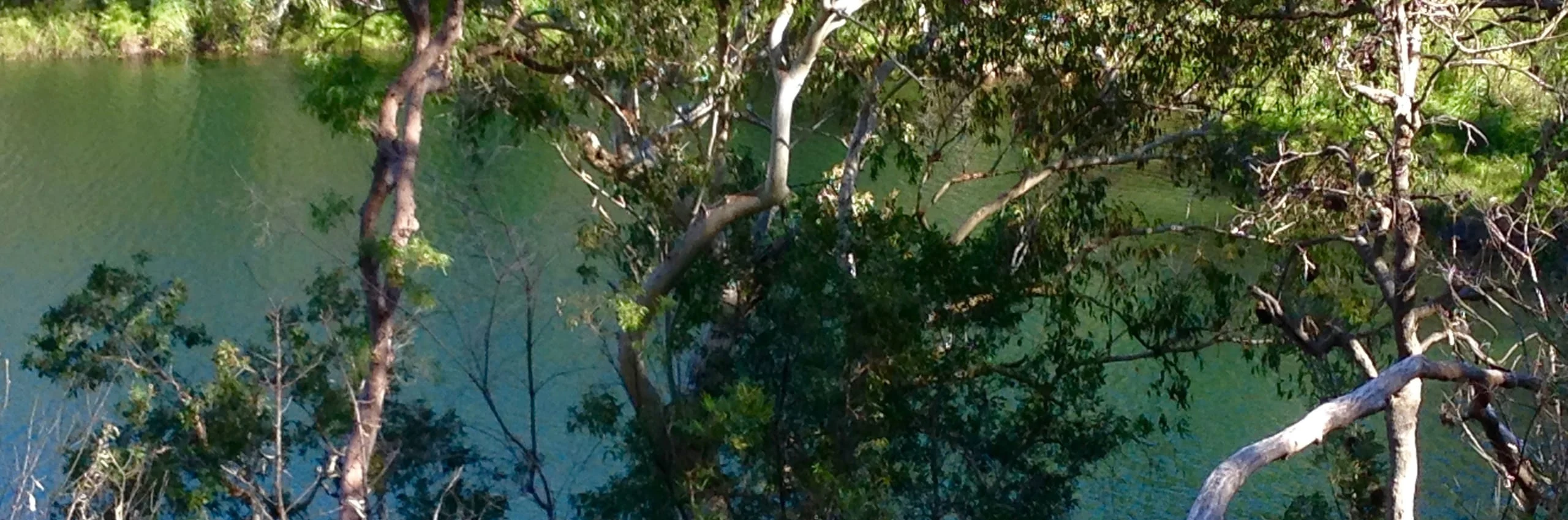 Kaboora Blue Lake Walk North Stradbroke Island Kaboora Blue Lake Walk North Stradbroke Island
