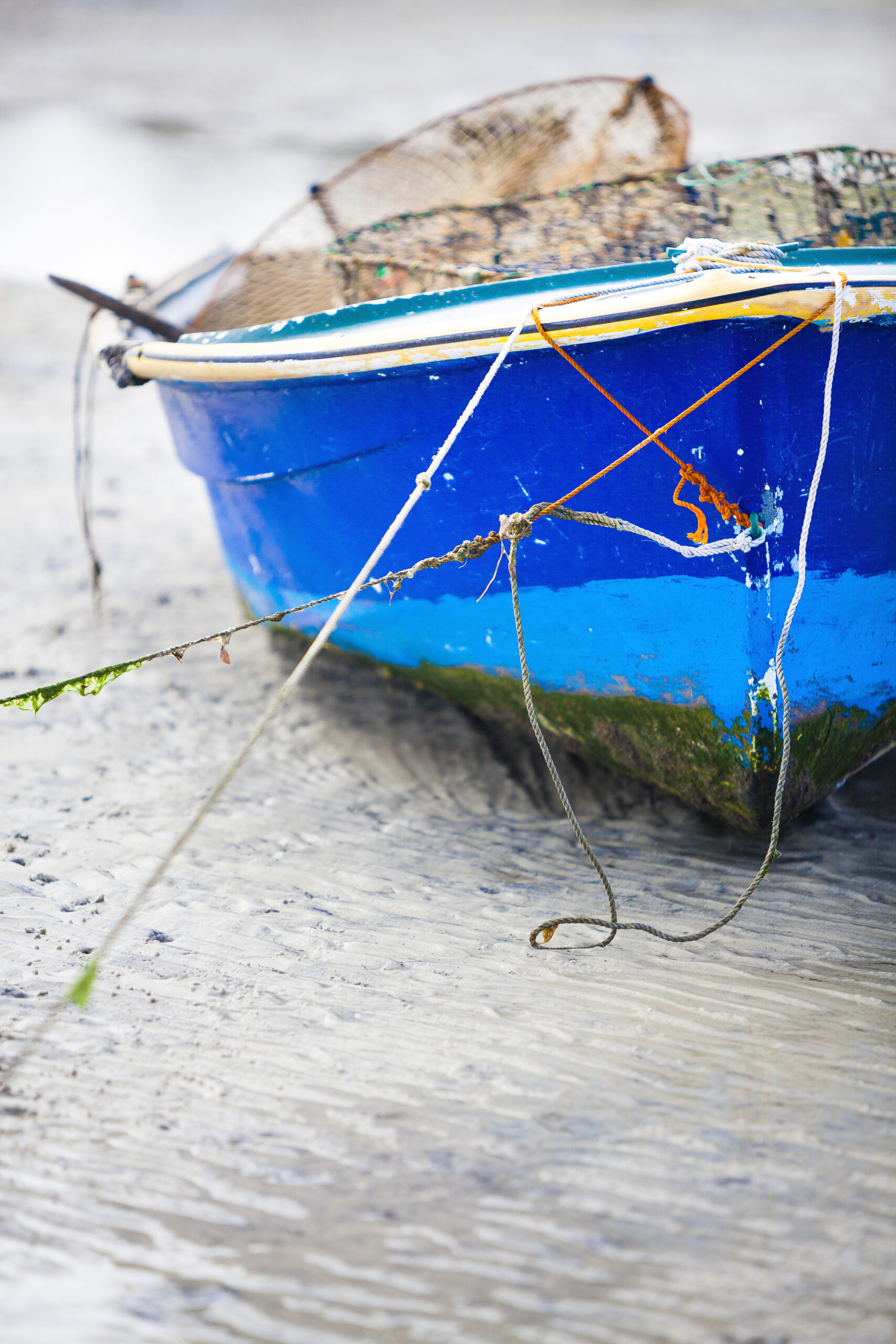 Blue fishing boat at dunwich | north stradbroke island